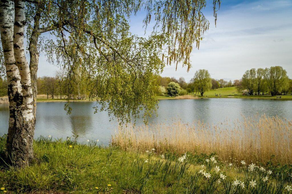 Für Grünberlin ist CRES Consult für die planungs- und baubegleitende Nachhaltigkeitsberatung tätig, zum Beispiel für Projekte im Britzer Garten in Berlin.